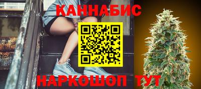 индика Ставрополь