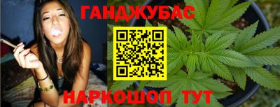 индика Ставрополь