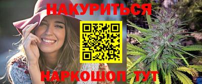 индика Ставрополь