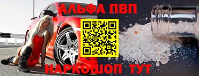 индика Ставрополь