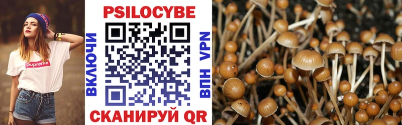 купить   Новокубанск  ссылка на мегу ТОР  Галлюциногенные грибы Psilocybe 