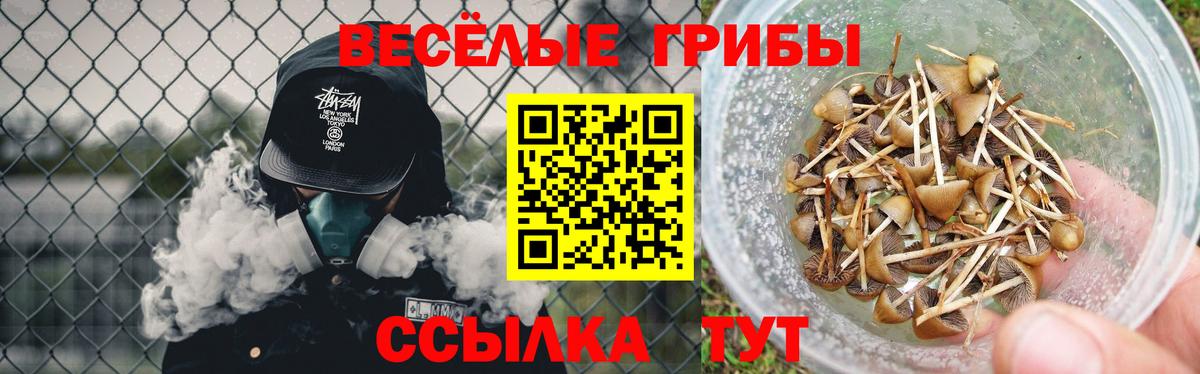 Галлюциногенные грибы мицелий Новокубанск