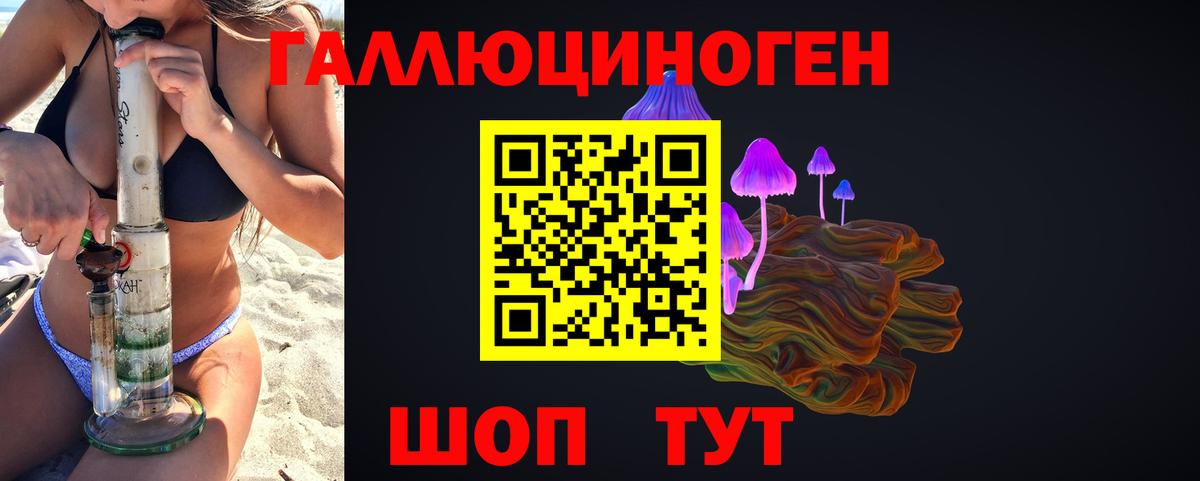Новокубанск  даркнет сайт  Вход с VPN  Псилоцибиновые грибы MAGIC MUSHROOMS 